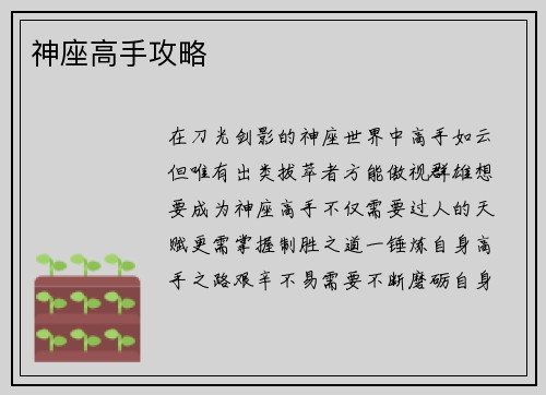 神座高手攻略